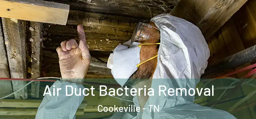  Air Duct Bacteria Removal Cookeville - TN