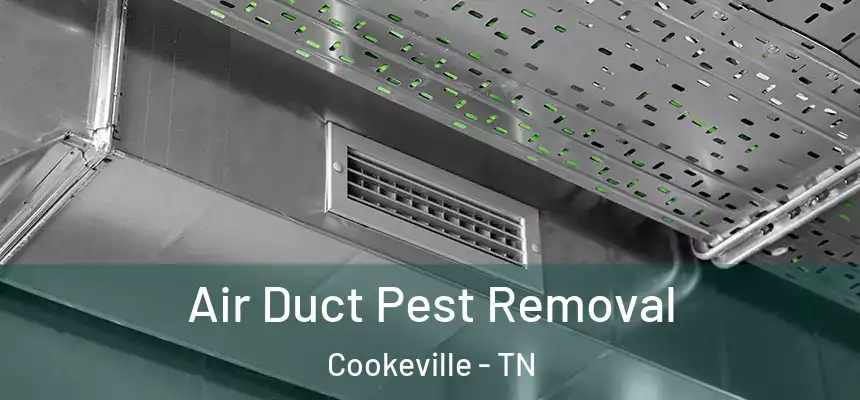 Air Duct Pest Removal Cookeville - TN