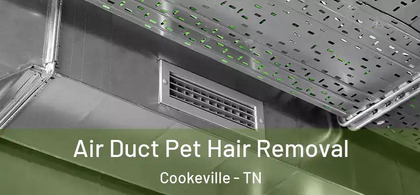 Air Duct Pet Hair Removal Cookeville - TN