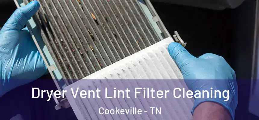 Dryer Vent Lint Filter Cleaning Cookeville - TN