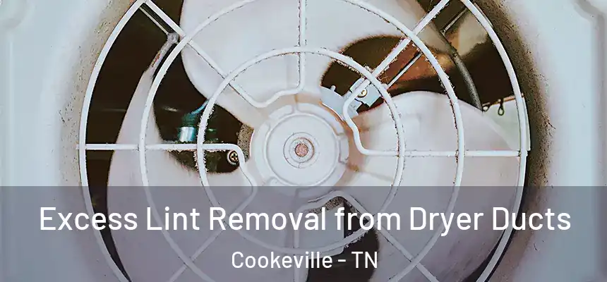 Excess Lint Removal from Dryer Ducts Cookeville - TN