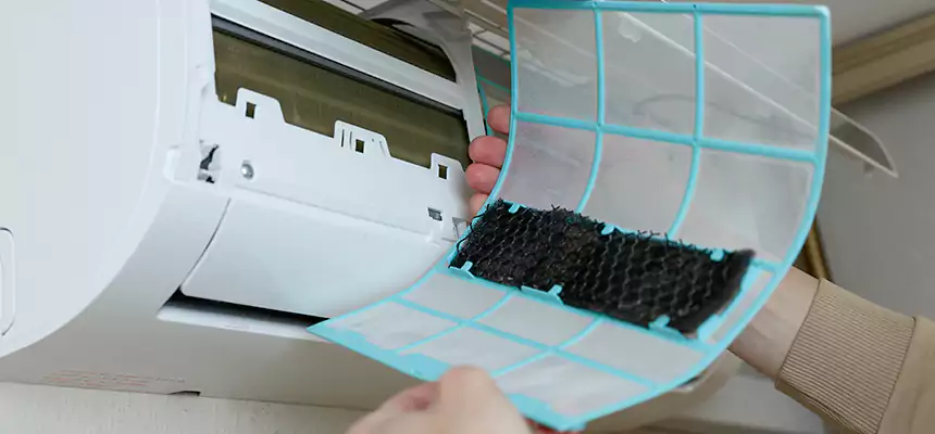 Gentle Ductwork Odor-Control Pet Dander Duct Cleaning in Cookeville, TN