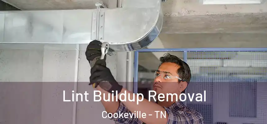 Lint Buildup Removal Cookeville - TN