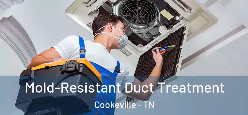  Mold-Resistant Duct Treatment Cookeville - TN