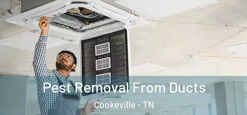 Pest Removal From Ducts Cookeville - TN