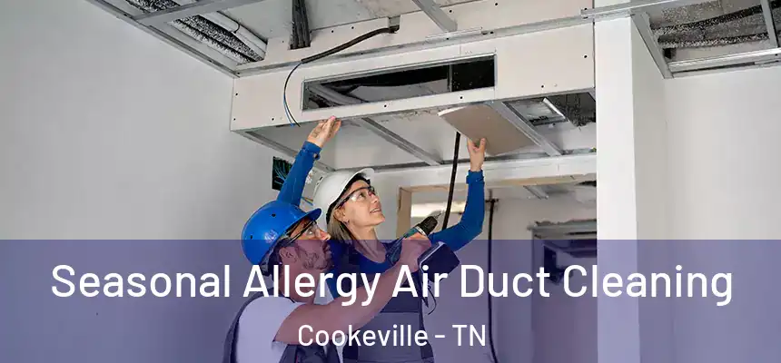 Seasonal Allergy Air Duct Cleaning Cookeville - TN