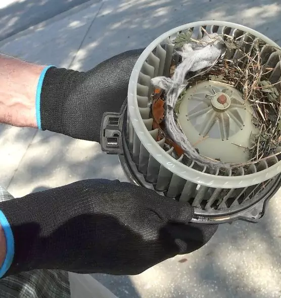 About Air Duct Mice Removal in Cookeville, TN