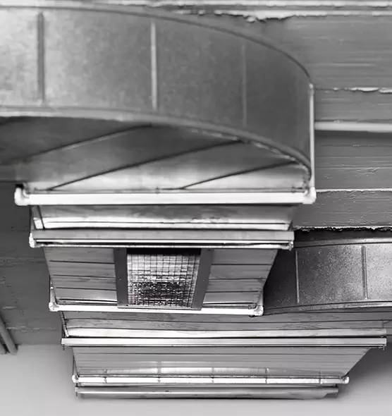 Professional Air Duct Pest Removal in Cookeville, TN