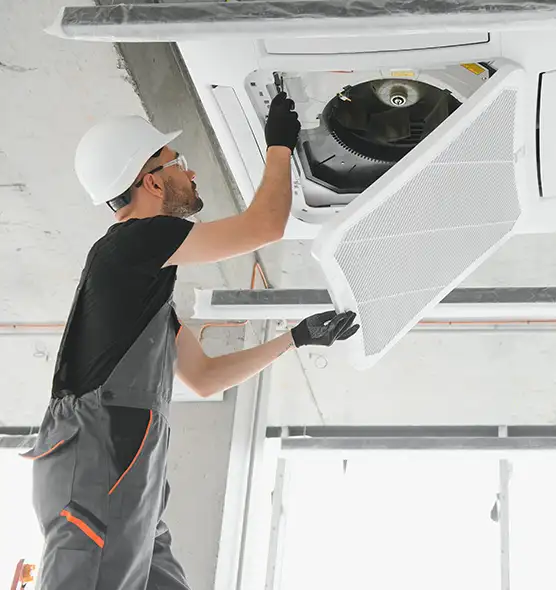 About Air Duct Rodent Removal in Cookeville, TN