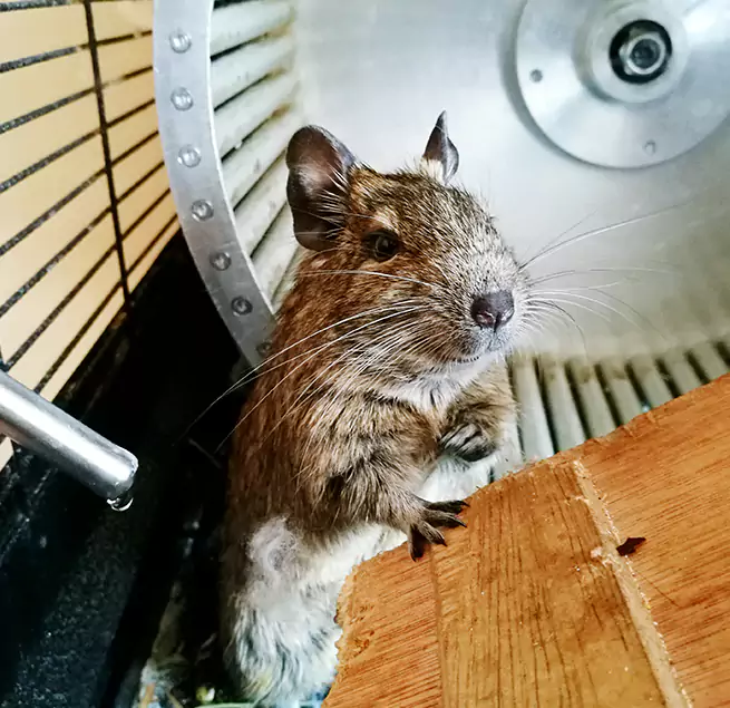 Why Homeowners & Businesses Trust Us Cookeville, TN