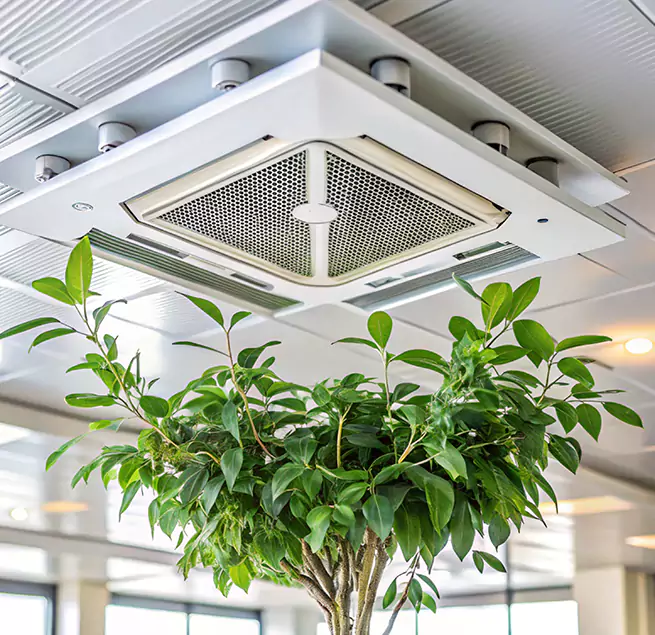 Why Homeowners & Businesses Trust Us in Cookeville, TN?