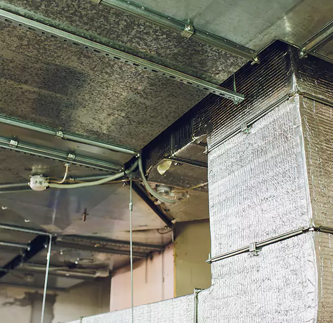 Why Homeowners & Businesses Trust Us in Cookeville, TN?